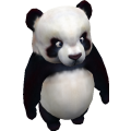Panda_cls