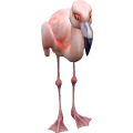 Flamingo_cls