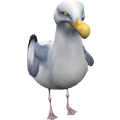 Seagull_cls