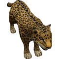 Jaguar_cls