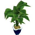 Philodendron_cls