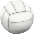 Volleyball_cls