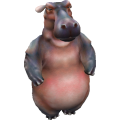 Hippo_cls