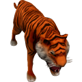Tiger_cls