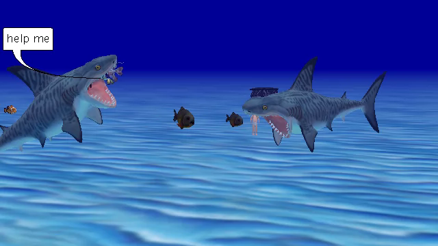 sharks that dont know what there doing