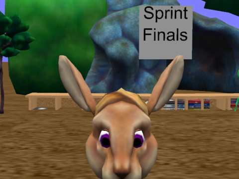 Sprint Finals